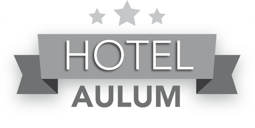 Hotel Aulum